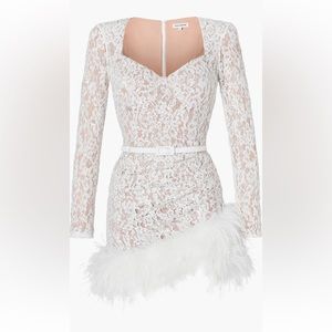Nadine Merabi Carly Sequin Lace Feather Trim Long Sleeve Minidress